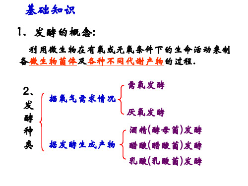 选修_专题_果酒、果醋、腐乳和泡菜的制作