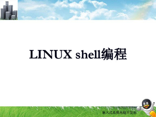 Linux基础之shell