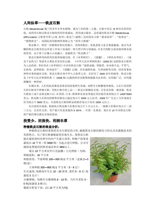 铁皮石斛