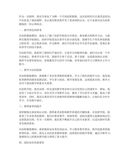 教师挂职的心得体会