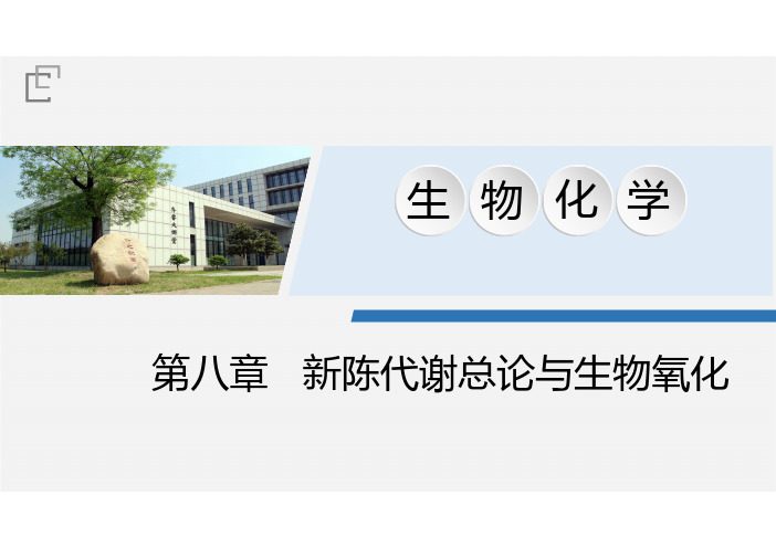 生物化学第八章 新陈代谢总论与生物氧化知识点归纳