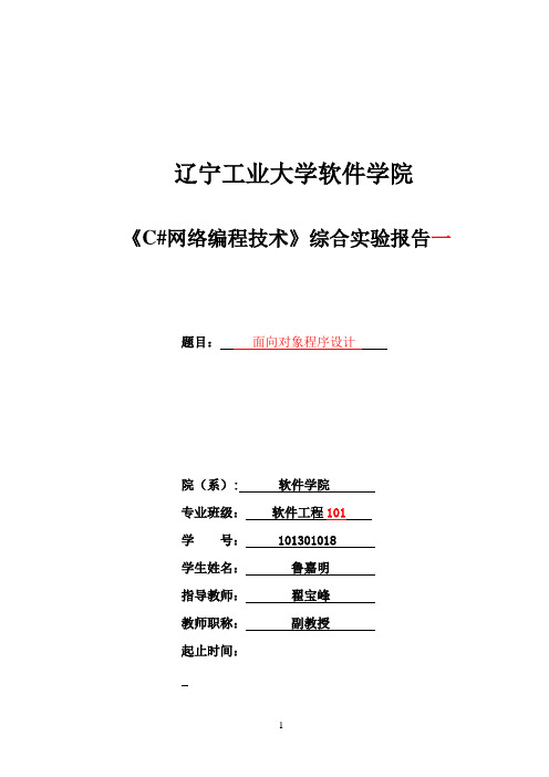 网络编程技术综合实验报告