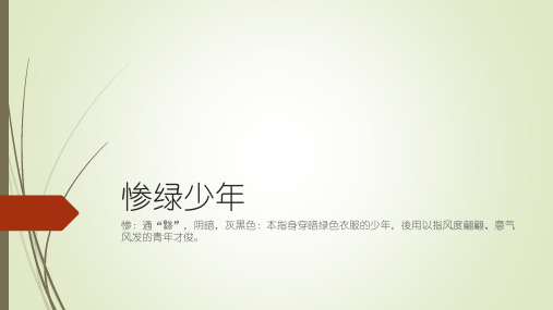 惨绿少年-词语解析