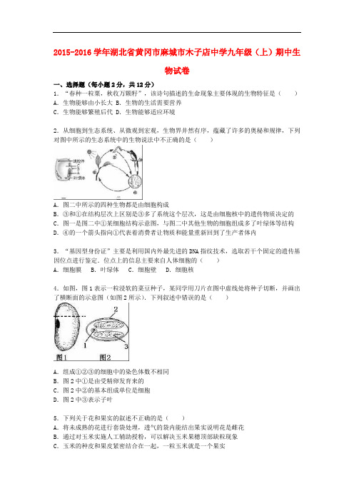 湖北省黄冈市麻城市木子店中学九年级生物上学期期中试卷(含解析) 新人教版