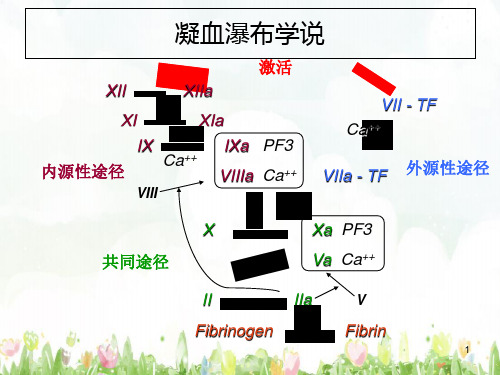 常见凝血项目检测及临床意义ppt幻灯片课件