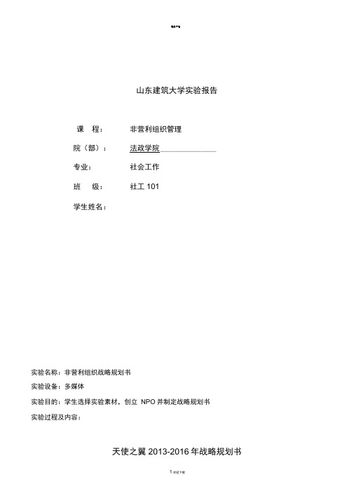 非营利组织管理战略规划书