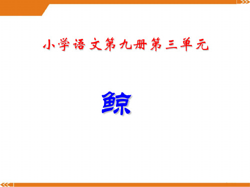 2024年部编版语文五年级上册鲸-优课件