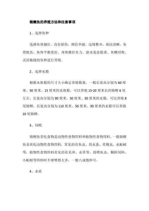 锦鲤鱼的养殖方法和注意事项