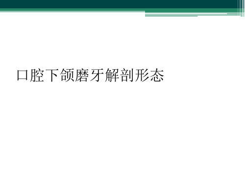 口腔下颌磨牙解剖形态