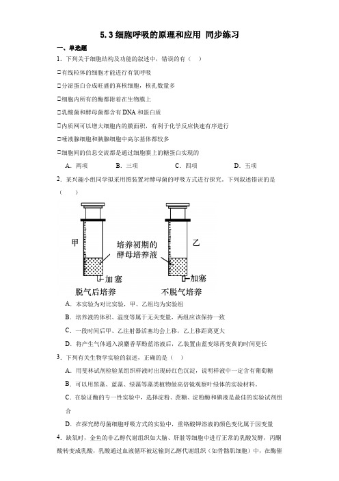 细胞呼吸的原理和应用同步练习 高一上学期生物人教版必修1