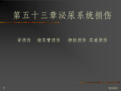 泌尿系统损伤