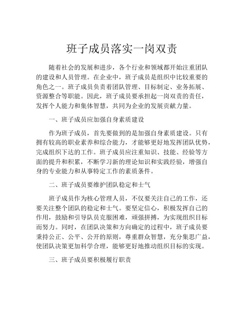 班子成员落实一岗双责