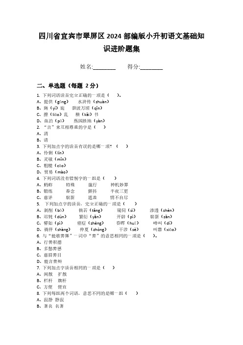 四川省宜宾市翠屏区2024部编版小升初语文基础知识进阶题集