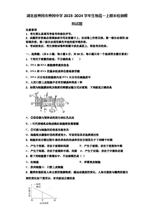 湖北省黄冈市黄冈中学2023-2024学年生物高一上期末检测模拟试题含解析