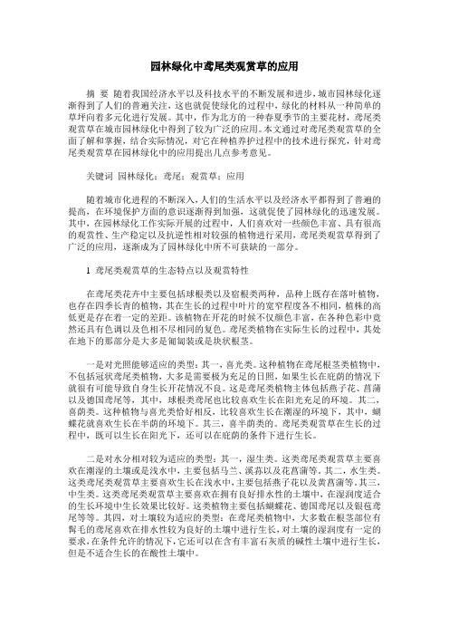 园林绿化中鸢尾类观赏草的应用