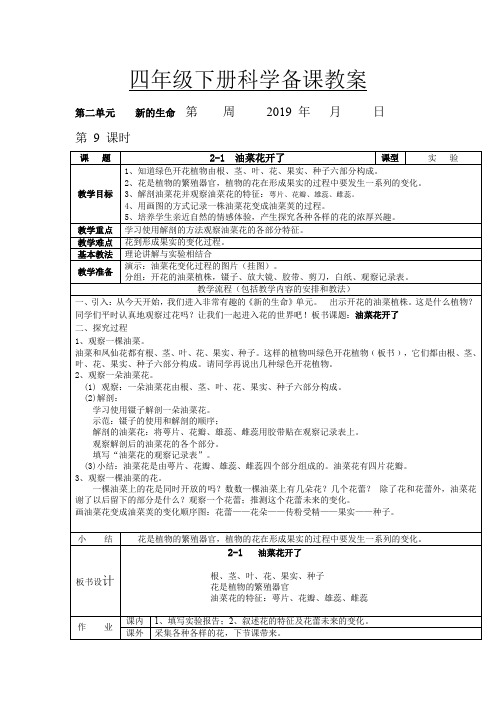 四年级下册科学教案  第二单元  新的生命  教科版