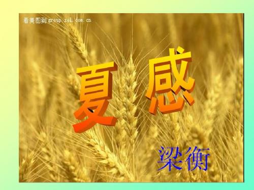 初中语文《夏感》(共32张)ppt65