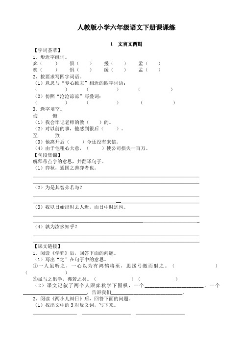 【精品】人教版小学六年级语文下册全册课课练(附答案)