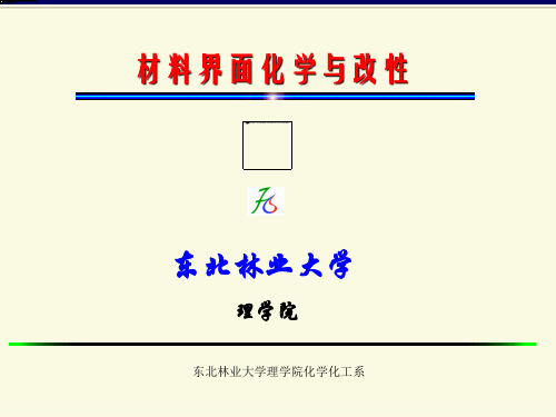 材料界面化学与改性-4界面