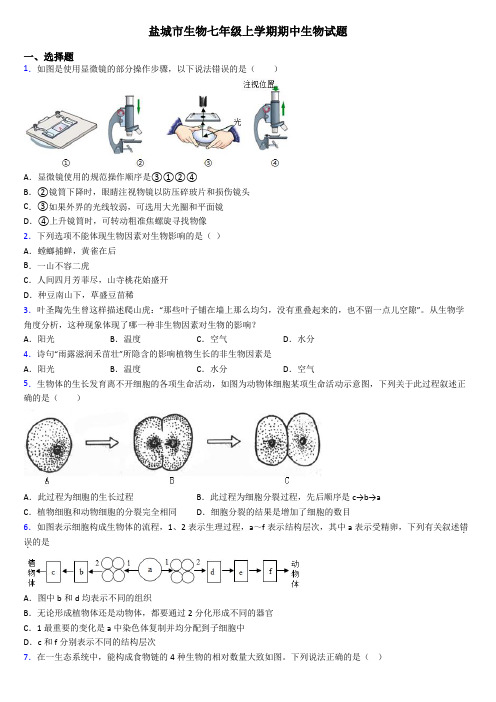 盐城市生物七年级上学期期中生物试题