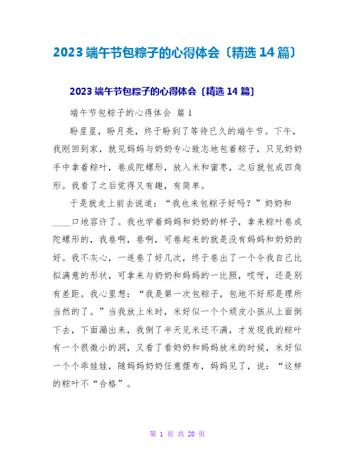 2023端午节包粽子的心得体会(精选14篇)