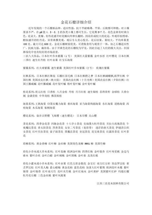 金花石榴详细介绍