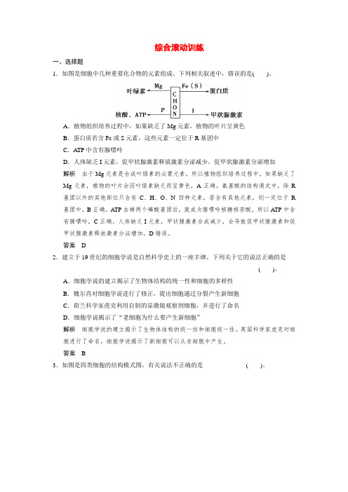 【创新设计】高考生物一轮精细复习 综合滚动训练