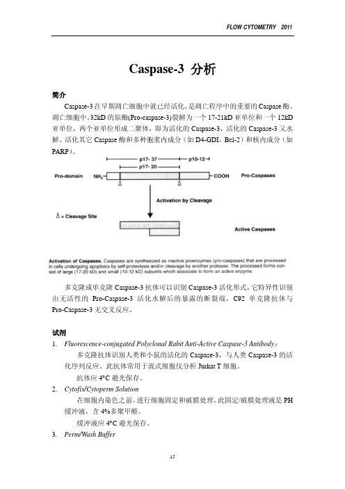 3Caspase-3分析