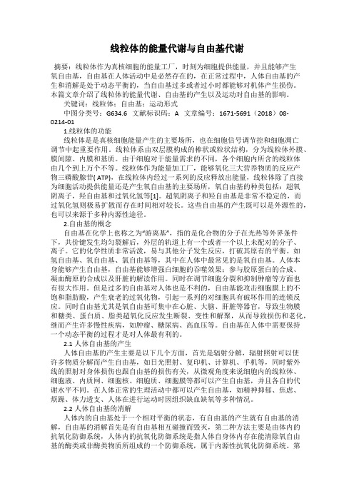 线粒体的能量代谢与自由基代谢