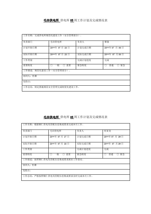 周工作计划及完成情况表02