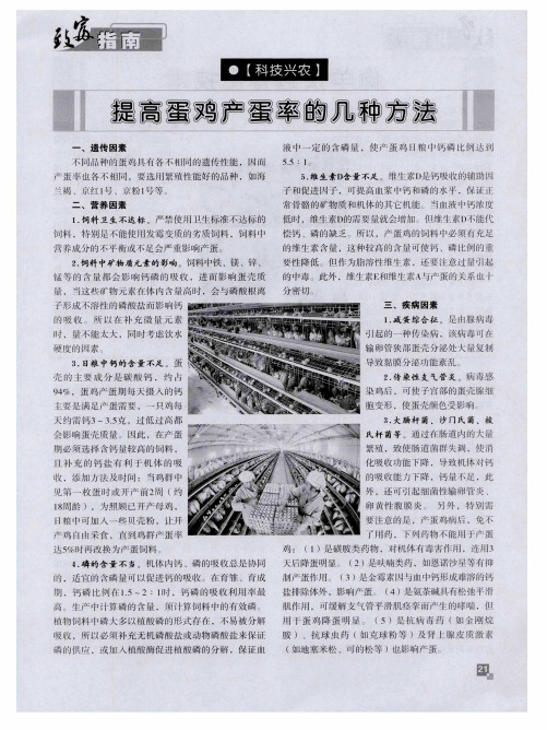 提高蛋鸡产蛋率的几种方法