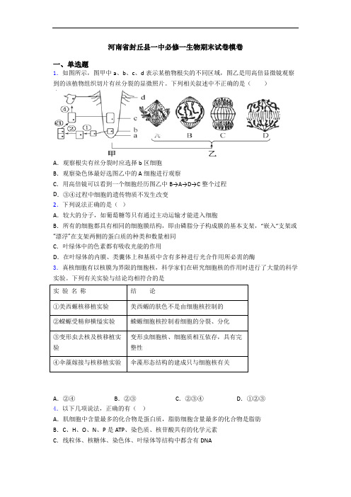 河南省封丘县一中必修一生物期末试卷模卷