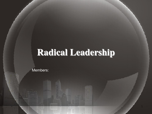 赛氏公司案例分析(Radical leadership)