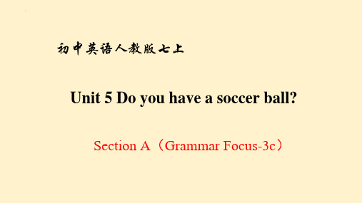 Unit5DoyouhaveasoccerballSectionAGrammarFocus-3c课件