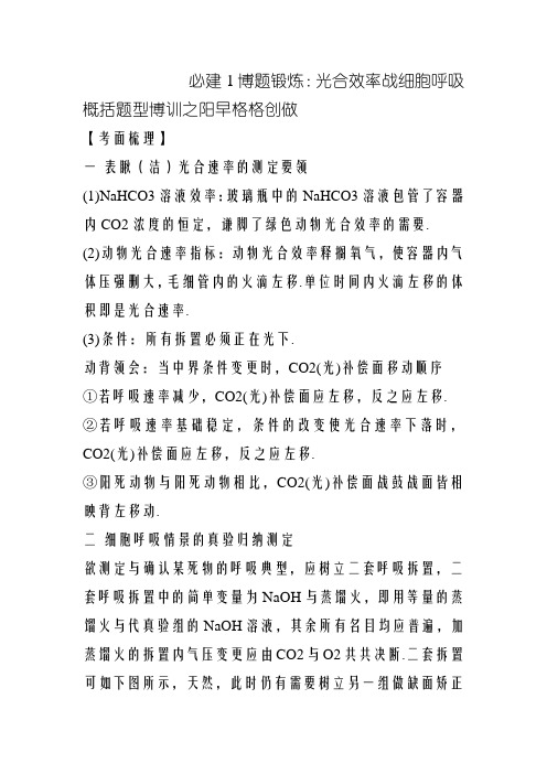 光合作用和细胞呼吸综合训练及习题解析