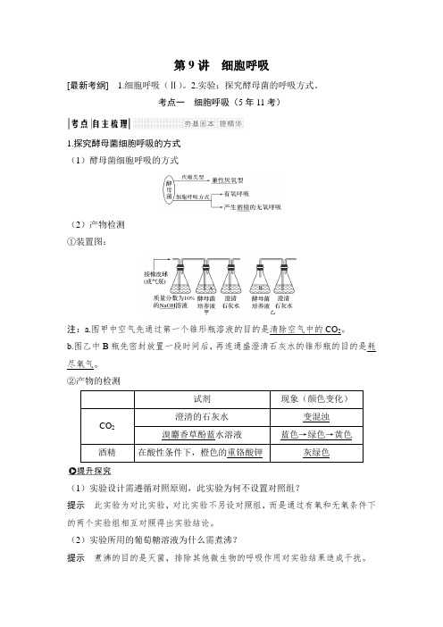 2019版高考生物一轮复习备考苏教版讲义：第三单元 光合作用与细胞呼吸 第9讲 Word版含答案