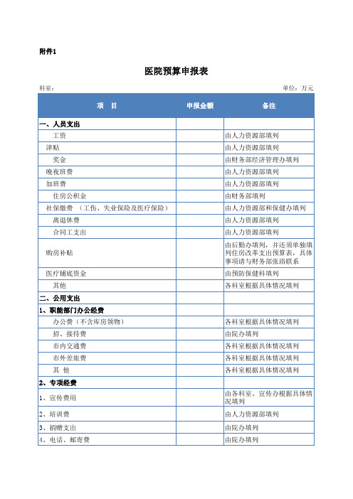 医院预算申报表模板