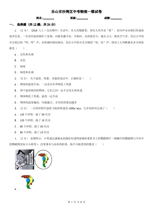 乐山市沙湾区中考物理一模试卷