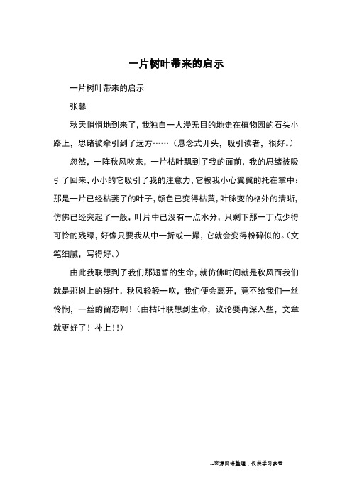 一片树叶带来的启示_日记_1