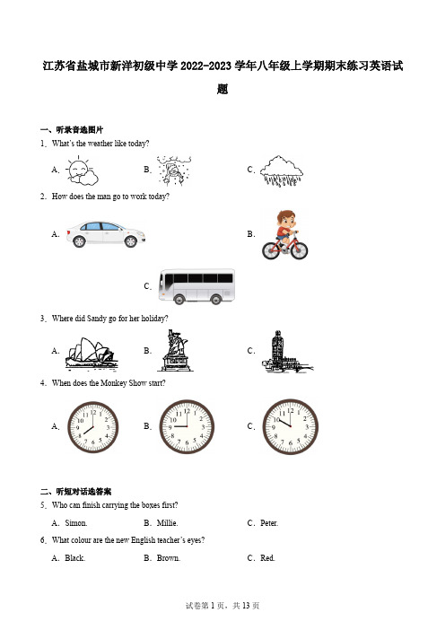 江苏省盐城市新洋初级中学2022-2023学年八年级上学期期末练习英语试题