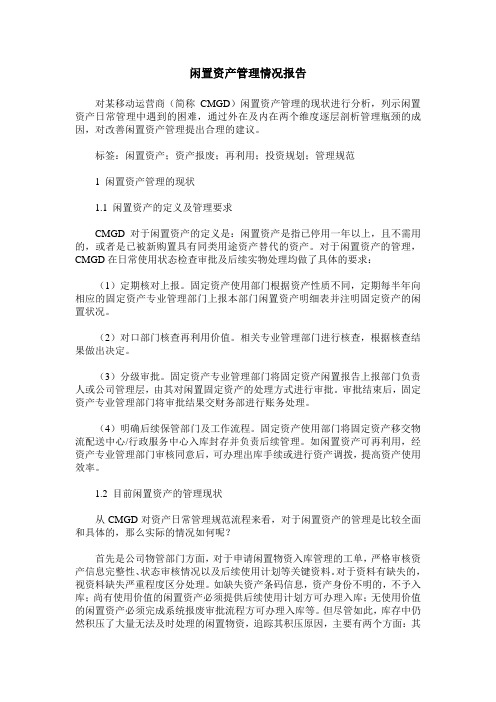 闲置资产管理情况报告