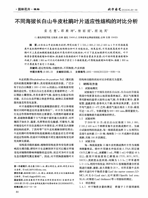 不同海拔长白山牛皮杜鹃叶片适应性结构的对比分析