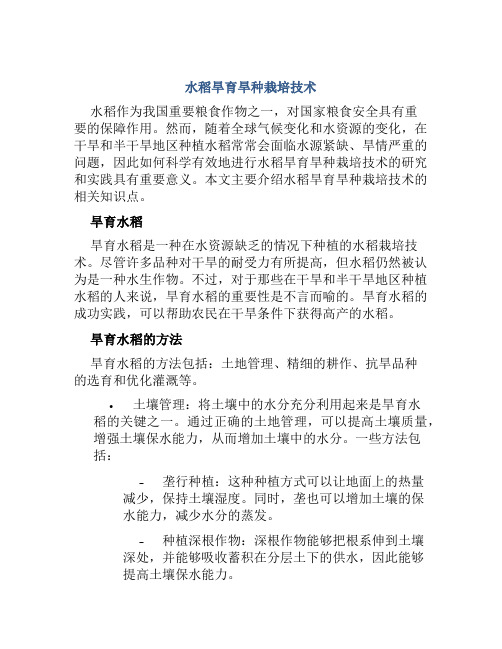 水稻旱育旱种栽培技术