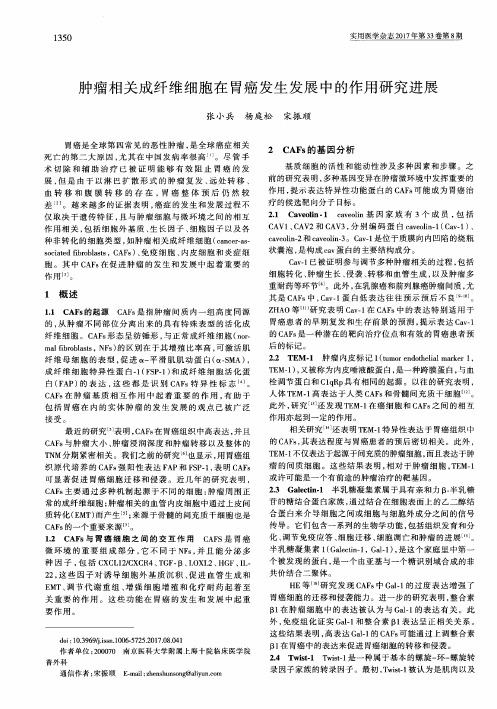 肿瘤相关成纤维细胞在胃癌发生发展中的作用研究进展