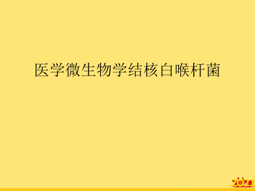 医学微生物学结核白喉杆菌精华PPT资料