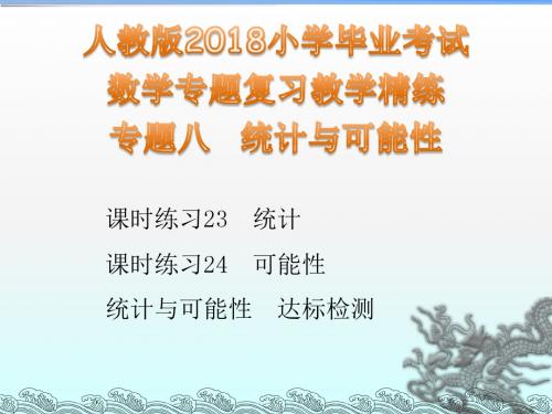 人教版2018小学毕业考试数学专题复习教学精练 专题八  统计与可能性