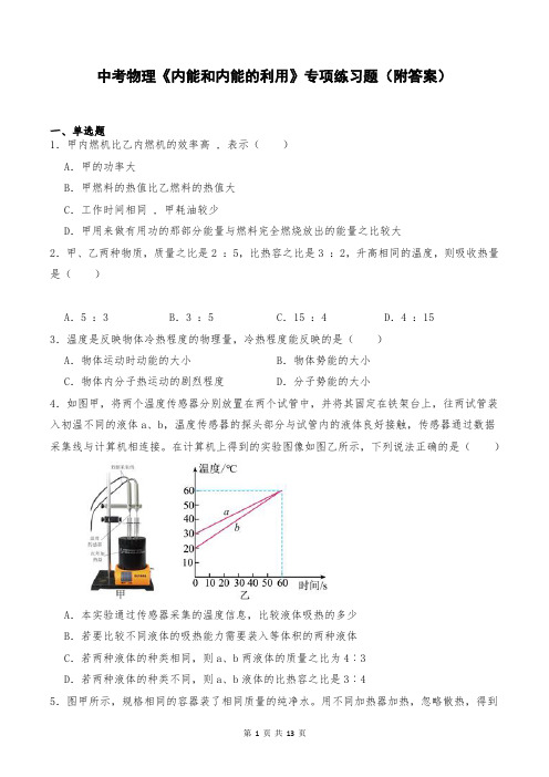 中考物理《内能和内能的利用》专项练习题(附答案)