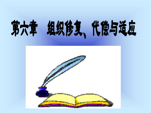 第六章组织修复、代偿与适应分析