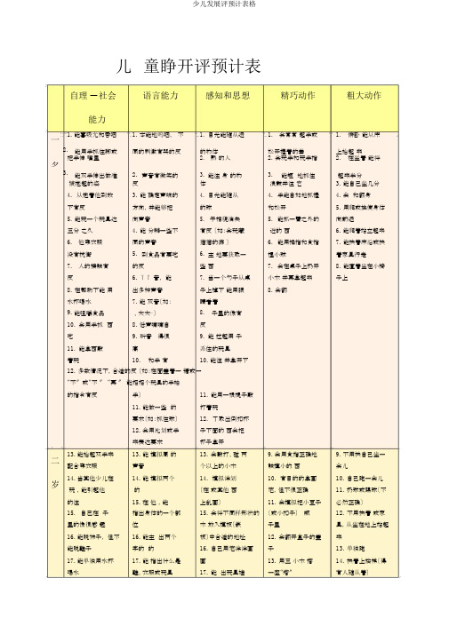 儿童发展评估量表格