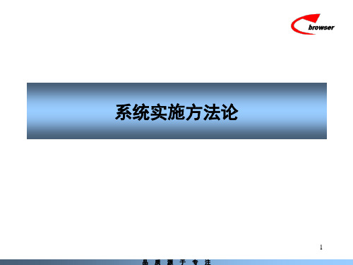 系统实施方法论NEWPPT课件